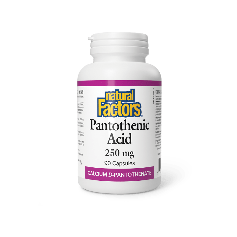 B5 vitamīns jeb pantotēnskābe 250 mg enerģijas vielmaiņai un stresa mazināšanai (90 kapsulas)
